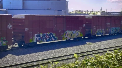 Railway Or Train Yard with Cargo Train Cars Covered with Graffiti Drawing. Stock Footage 153433806