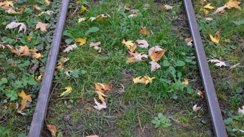 Railway in park Stock Footage 220218733