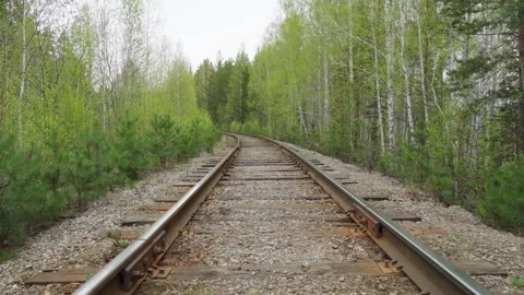 A railway passing through the forest. Old railway tracks. Stock Footage 274222152