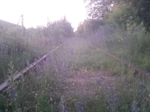 Railway Stock Photos