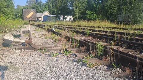 Railway switch and railroad tracks in green countryside on a sunny summer day. Stock Footage 342071418