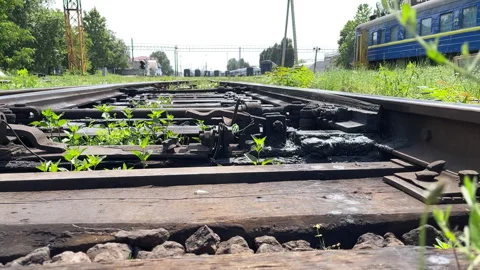 Railway Switch and Wildflowers Low Angle Track Detail Summer Depot Stock Footage 334075503