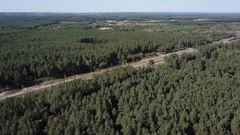 Railway through a coniferous forest Stock Footage 97832911