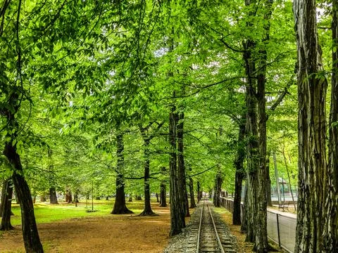 Railway through the trees in the park. Spring in Baia Mare city, Romania Stockfoto's