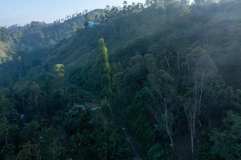 Railway track cutting through dense green mountain forest slopes Stock Photos