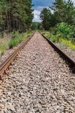 Railway track in the forest Stock Photos