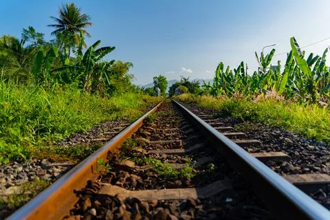 The railway track. 스톡 사진