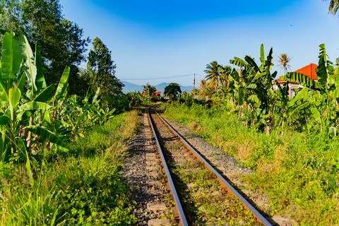 The railway track. Foto stock