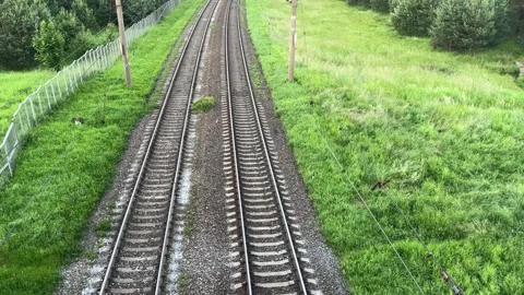 Railway tracks between green meadows and a pine forest Stock Footage 337554022