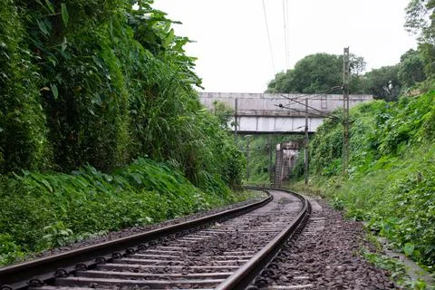 Railway tracks. Stock Photos