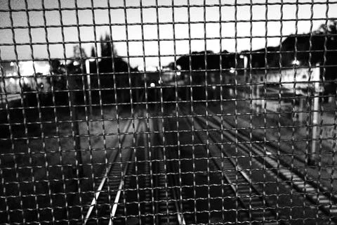 Railway tracks. Stock Photos