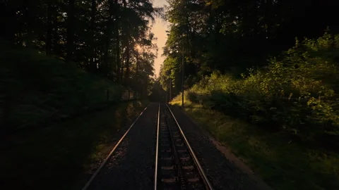 Railway tracks through forest at sunset Stock Footage 339881847