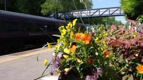Railway train Stock Footage 246582759