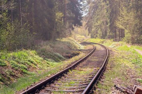 Railway - the train tracks wind around curves through the forest Stock Photos