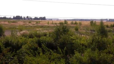 Railway Train Window Background Looped Video stock 103382945