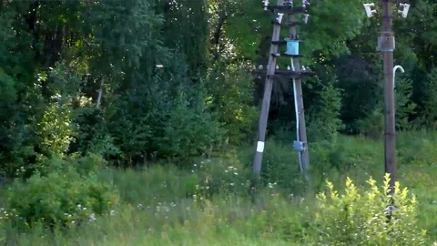 Railway Train Window Forest Background Looped Video stock 103382910