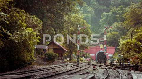 Railway tunnel with old brick in forest and mountain. Stock Photos