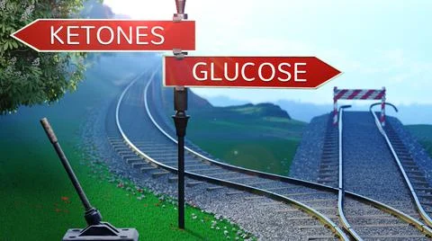 Railway Turnout Ketones/Glucose Stock Photos