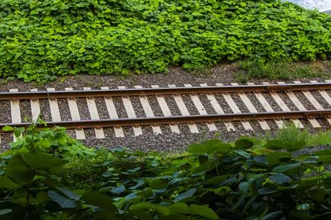 Railway view Stock Photos