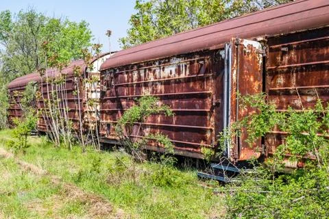 Railway wagon captured by vegetation. Stock Photos