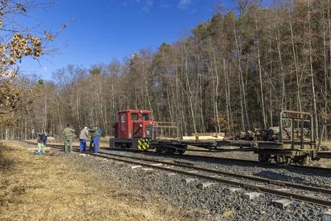 Railway workers loading timber in Lenti forest, Hungary Fotos de archivo