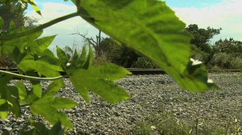 Railways Stock Footage