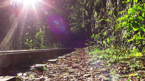 Railways in the Gorges Stock Footage 43311015