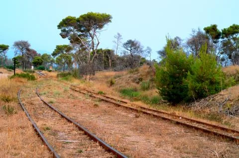 Railways landscape Foto stock