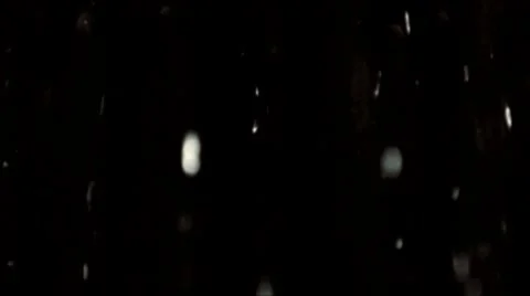 Rain 01 Stock Footage 7755293