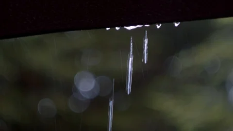 Rain 01 Stock Footage 126878013