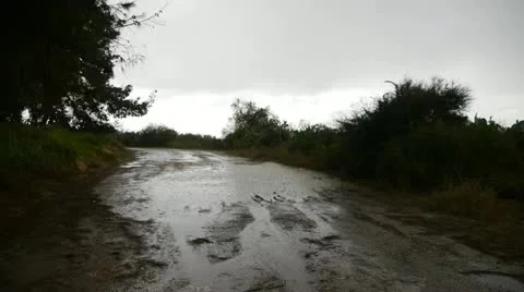 Rain 0113 1 Stock Footage 20524933