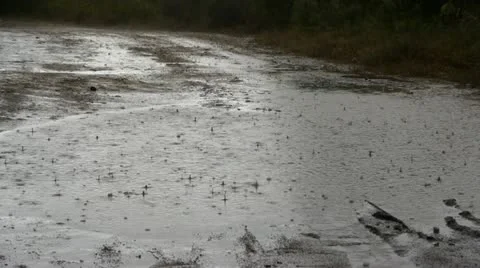 Rain 0113 2 Stockbeeldmateriaal 20525105