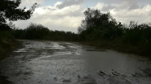 Rain 0113 3 Stockbeeldmateriaal 20525118