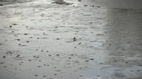 Rain 0113 4 動画素材 20527470