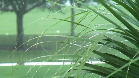 Rain 018 (1080p 24fps) Video stock 545178