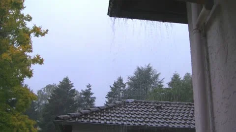 Rain 02 Stock Footage 8982679