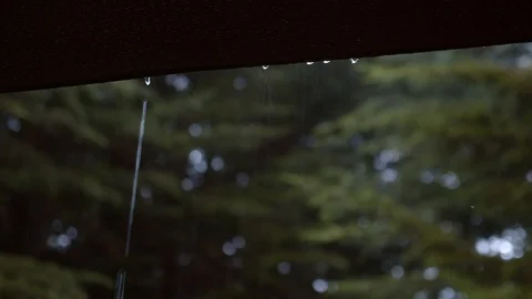 Rain 02 Stock Footage 126878136