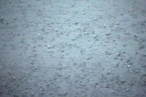 Rain 03 Stock Footage 99275