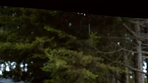 Rain 03 Stock Footage 126878087