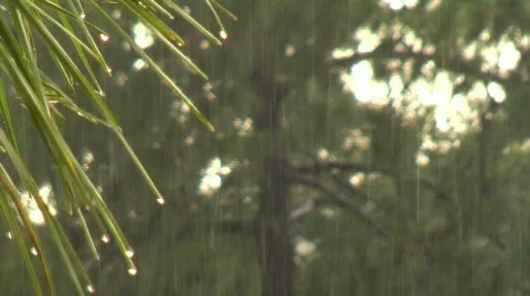 Rain 07 (720p 29.97fps) Video stock 270163