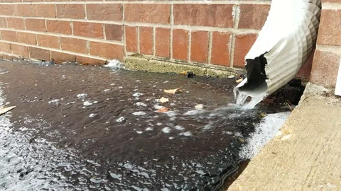 Rain #1 Stock Footage 95206524