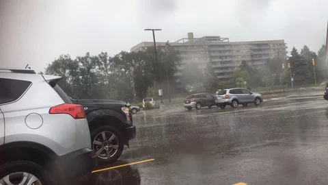 Rain 1 Stock Footage 101857959