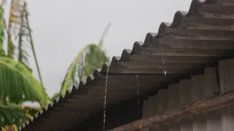 Rain 1 Stock Footage 263444393