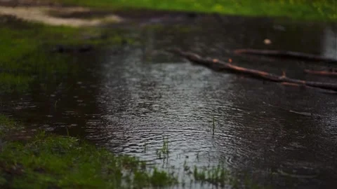 Rain 1 Stock Footage 327452086