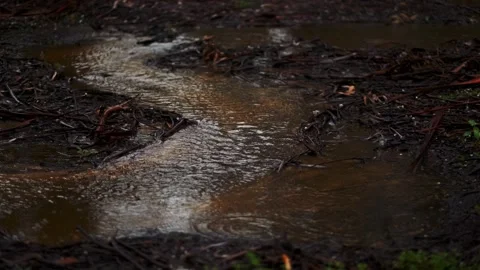 Rain 11 Stock Footage 327452161