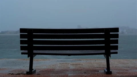 Rain 15 Stock Footage 327452191