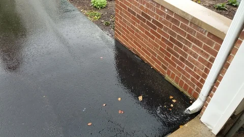 Rain #2 Stock Footage 95210366