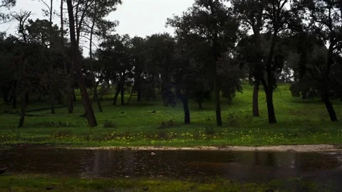 Rain 2 Stock Footage 327452091