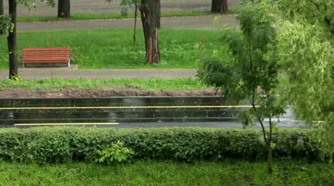 Rain 3 Stock Footage 11214688