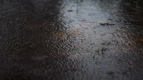 Rain 3 Stock Footage 327452089